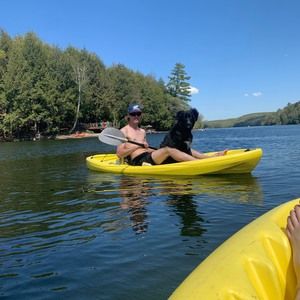 Meet your Posher, Logan